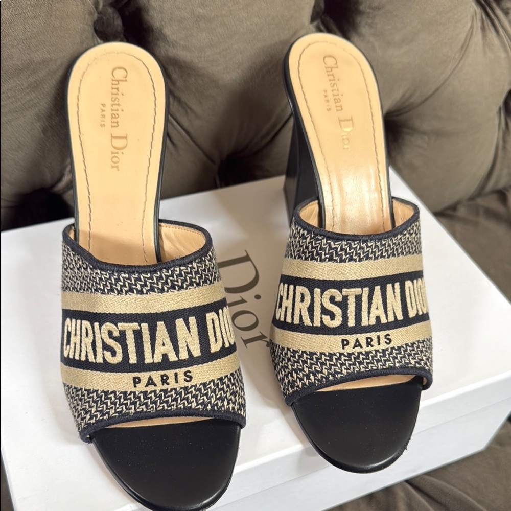 Dior Deep Blue Embroidered cot dway sandals
